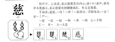 慈字五行|慈字的五行属性